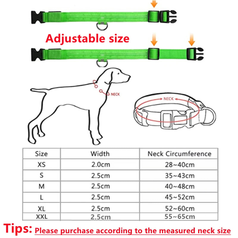 USB Rechargeable Luminous Dog Collar
