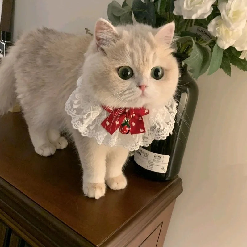 Silk Princess Cat Collar