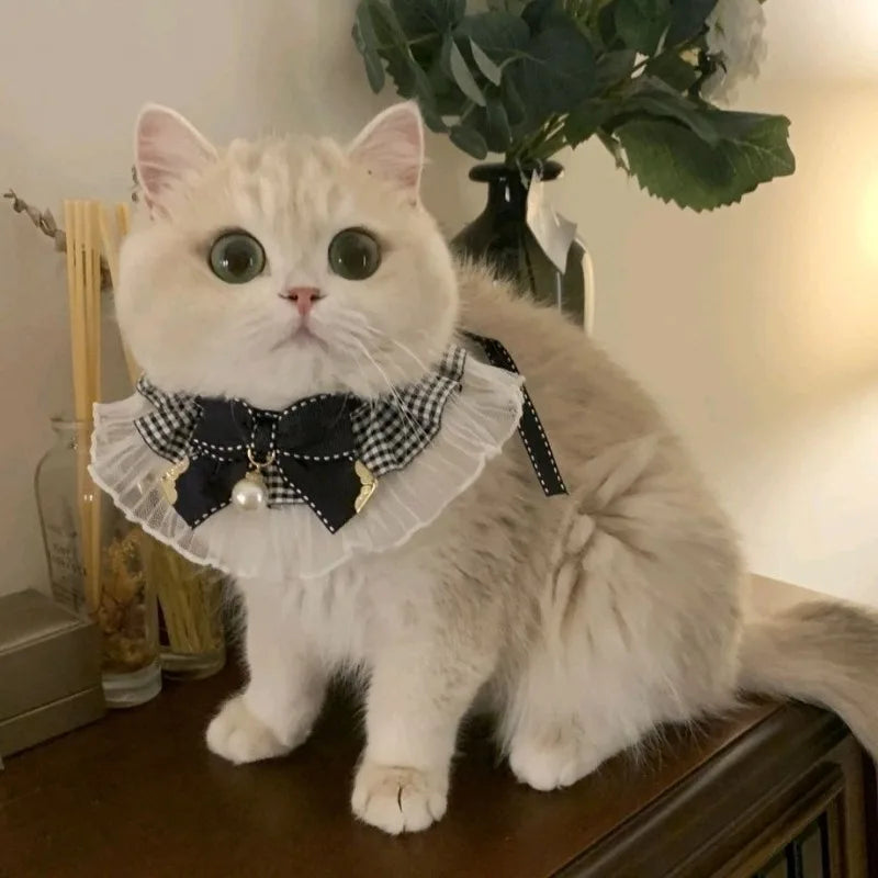 Silk Princess Cat Collar