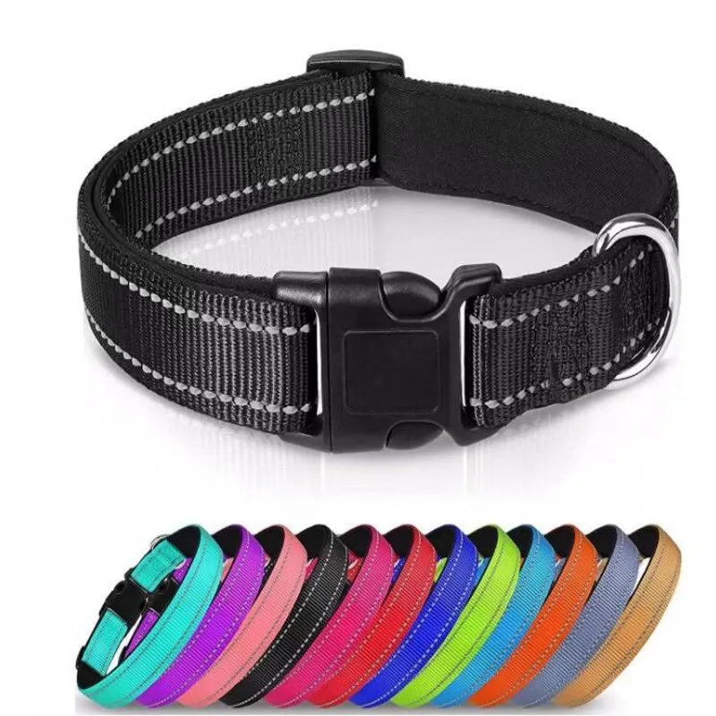 Reflective Padded Nylon Dog Collar