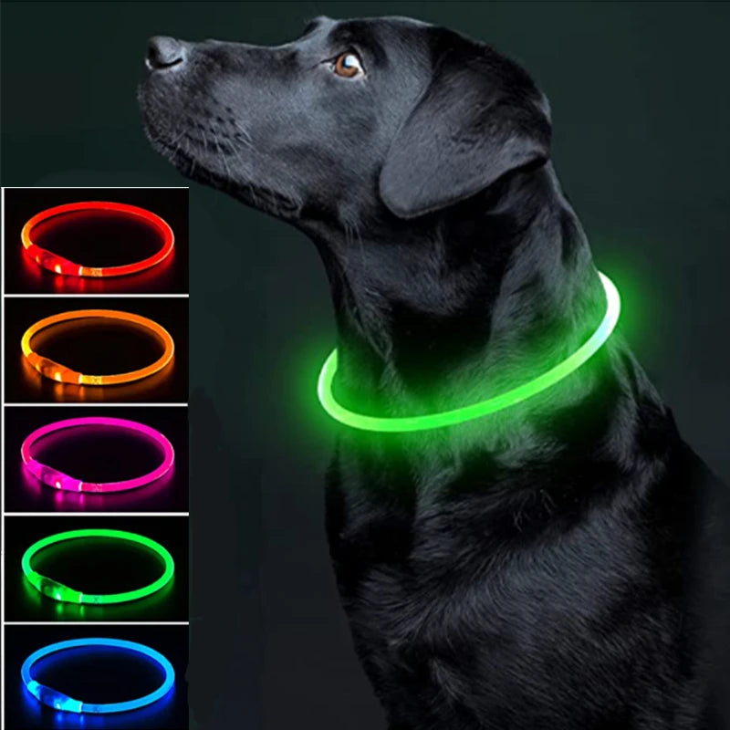 USB Glow Necklace Dog Collar