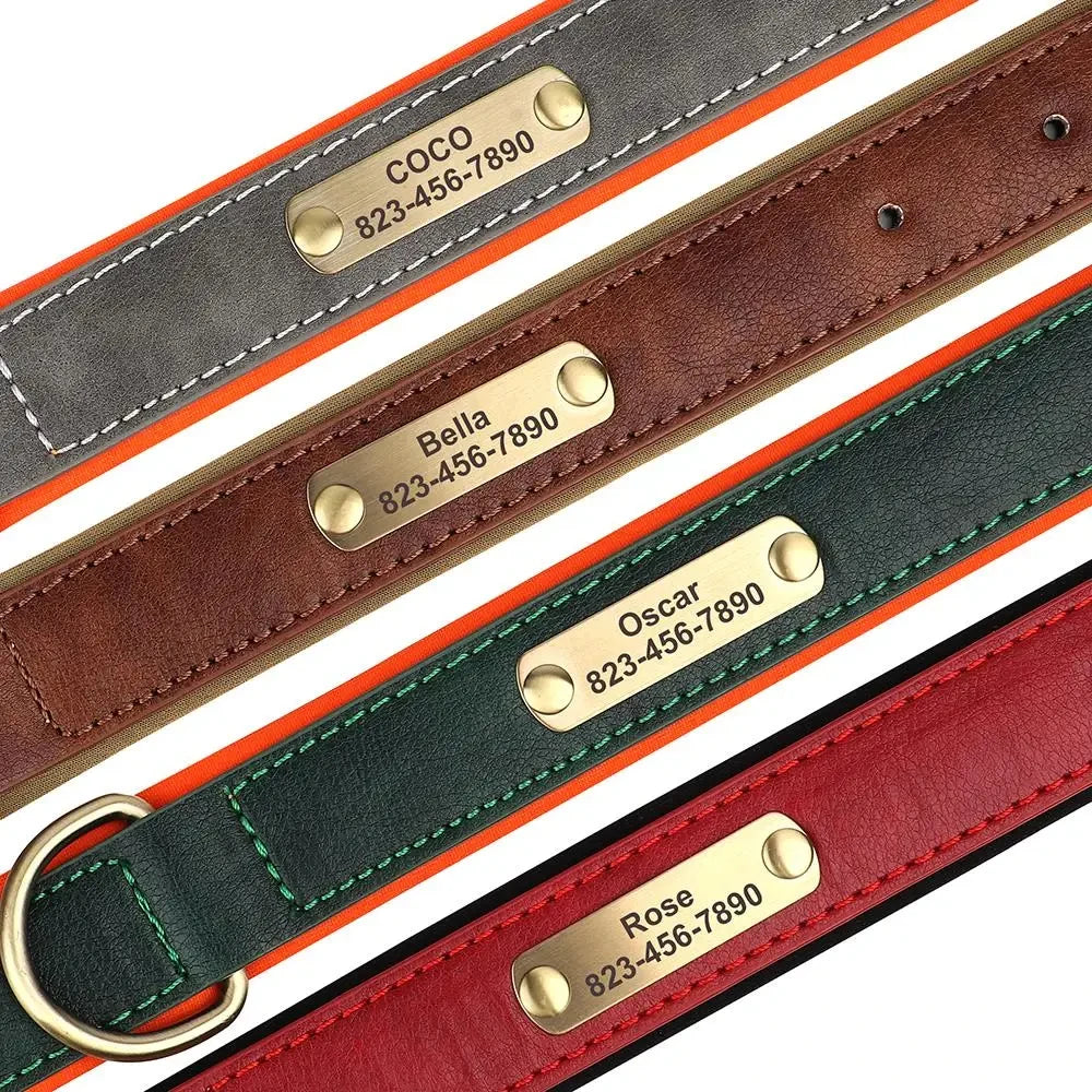 Personalized Leather ID Collar