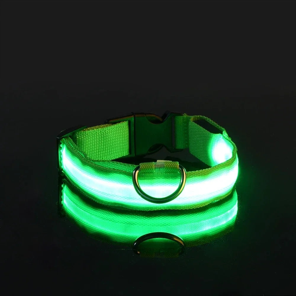 LED Glow Nylon Dog Collar