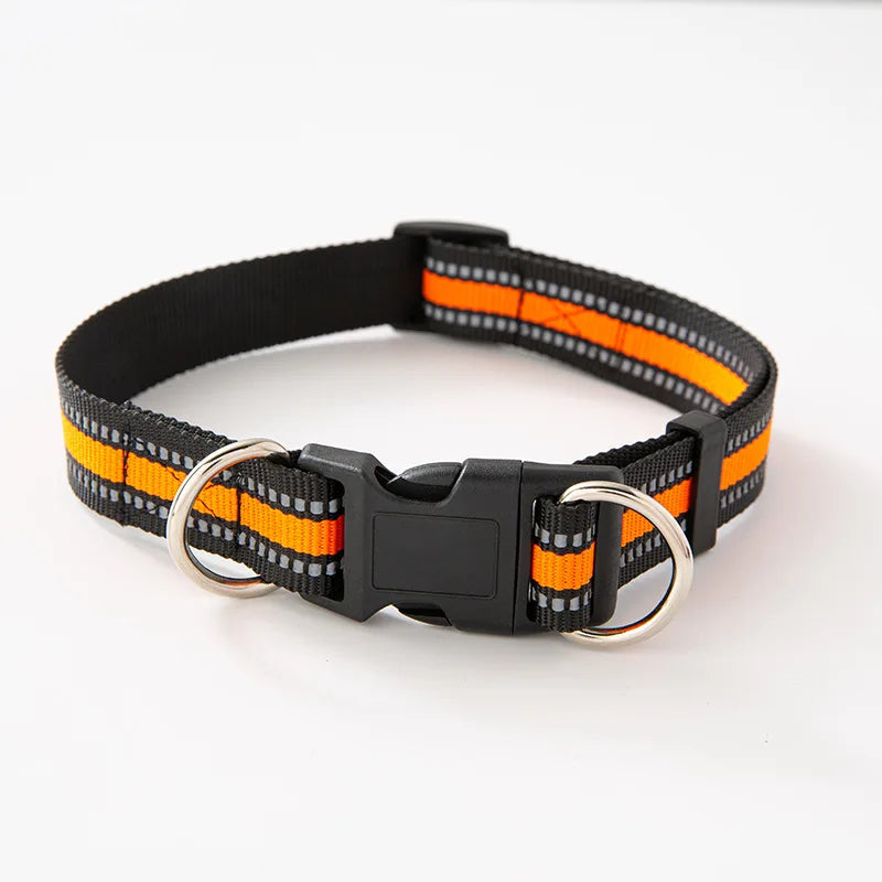 Dual D-Ring Dog Collar