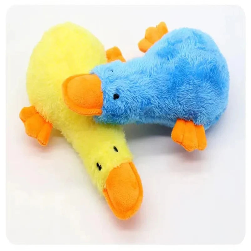 Interactive Duck Cat Toy