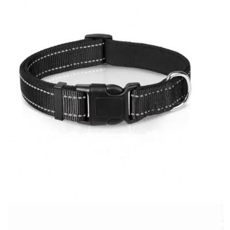 Reflective Padded Nylon Dog Collar