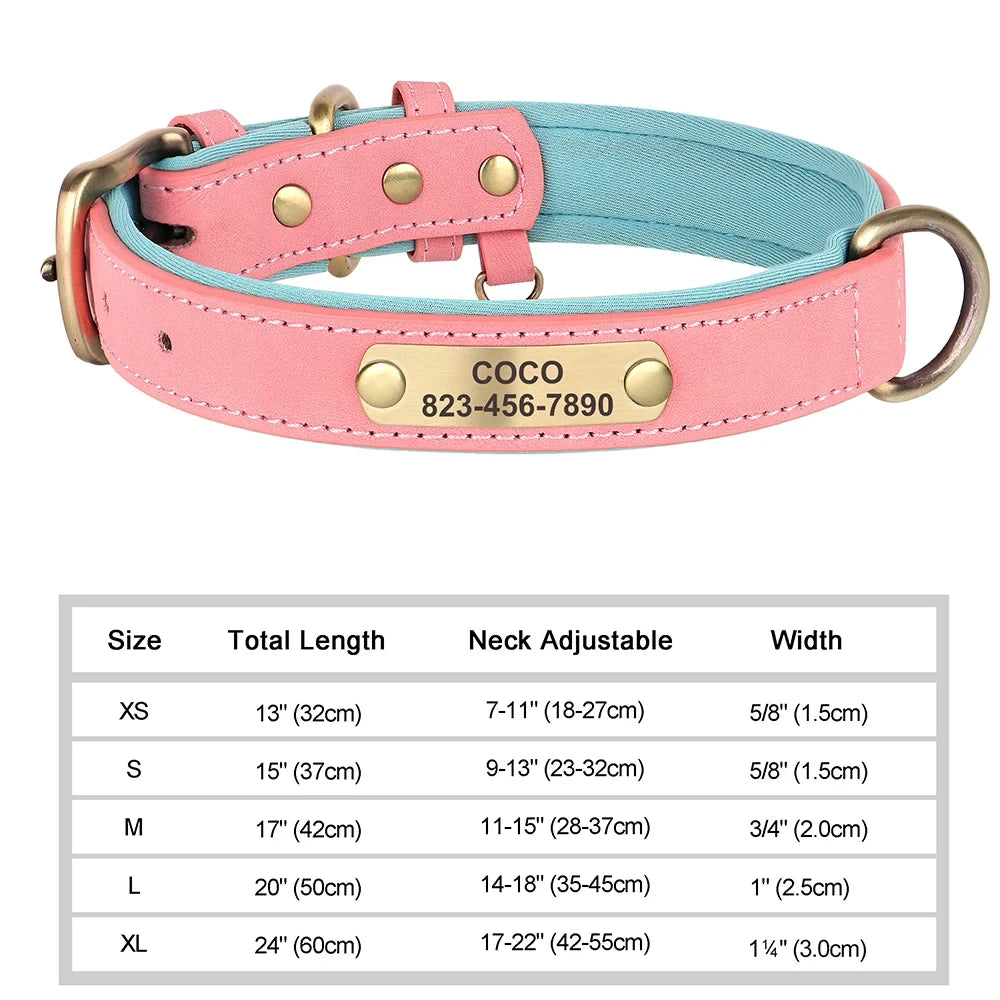 Personalized Leather ID Collar