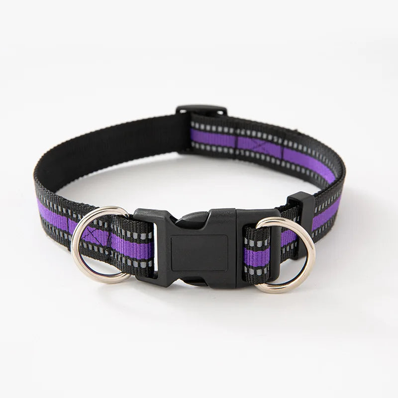Dual D-Ring Dog Collar