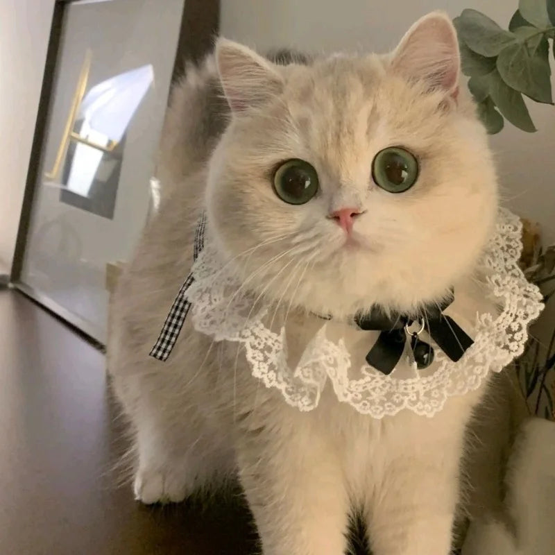 Silk Princess Cat Collar