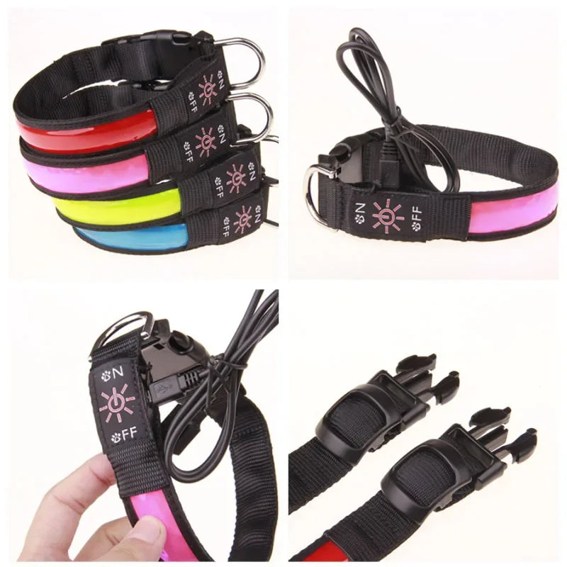 LED USB Charging Dog Collar
