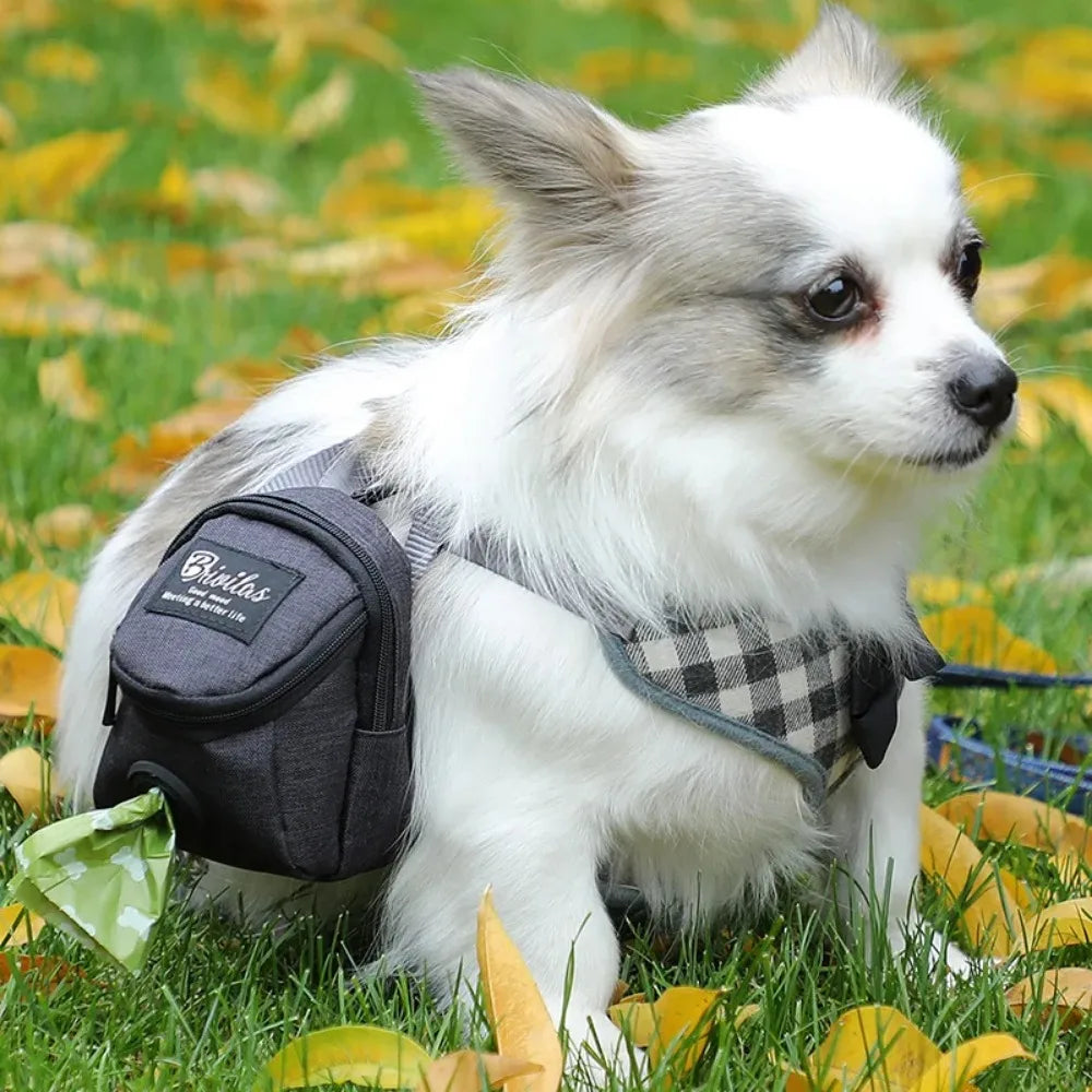 Dog Training Treat Pouch
