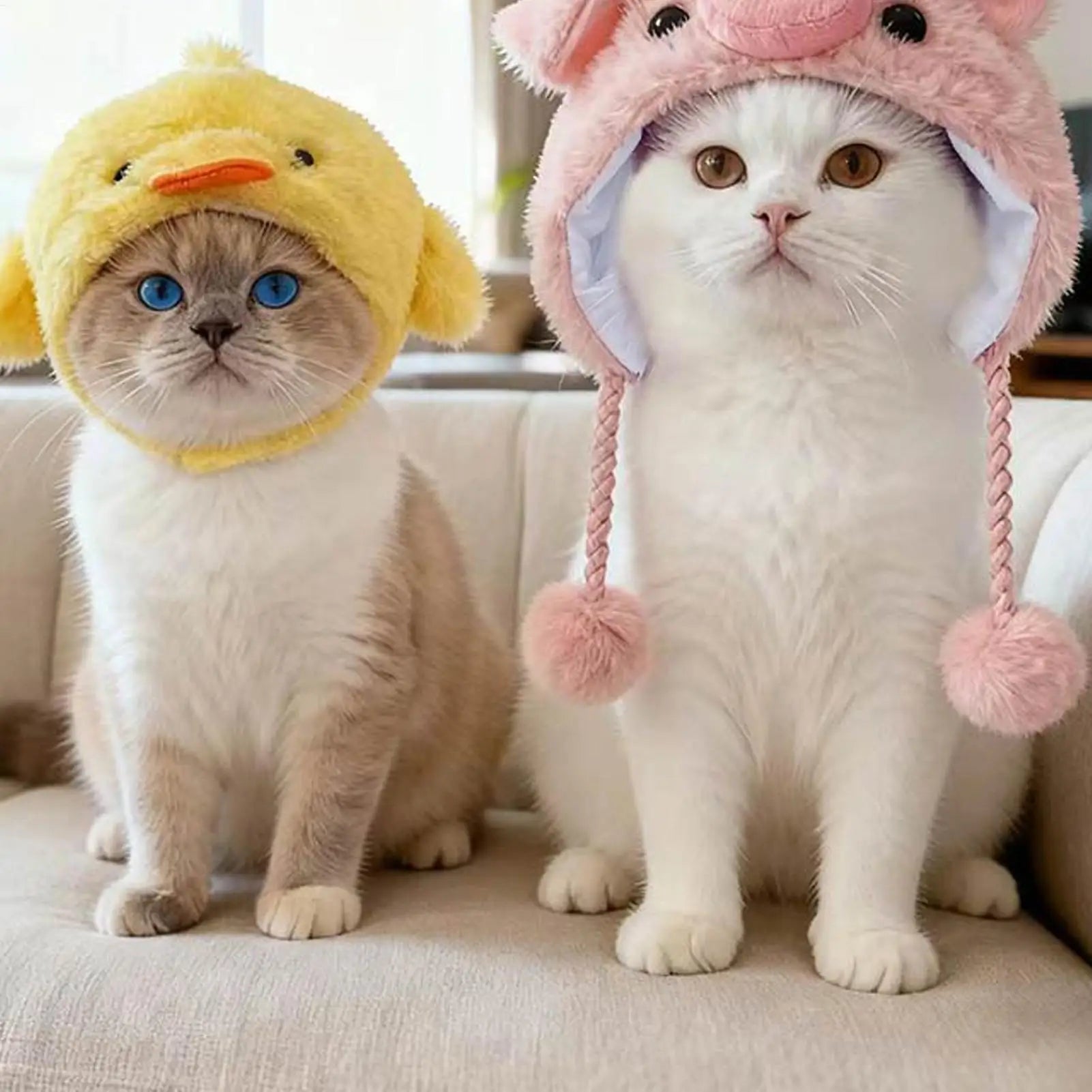 Funny Animal Hat for Pets