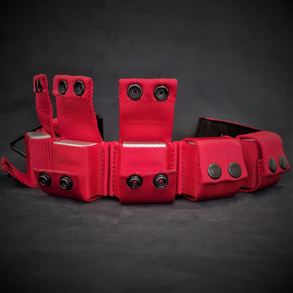 Weighted Training Collar — Red (Large, 5 lbs)